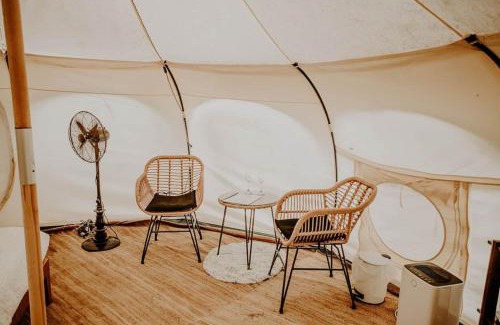 Cosby Other | Mimosa Hill Wanderlust Woods