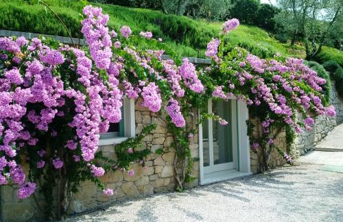 Frader House | MINI DI LUSSO CON PISCINA