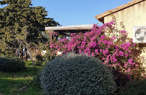Serra-di-Ferro Villa | Mini Villa de Vacances Dans un Cadre Exceptionnel