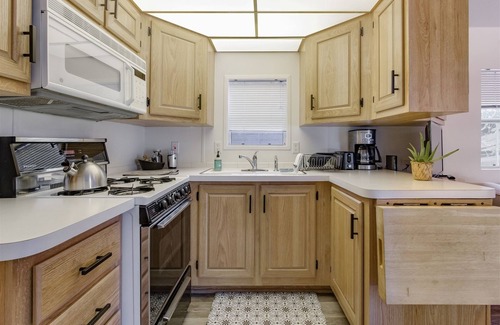 Packwood Cabin | Minimalist Hideaway | 1 Bed, 1 Bath