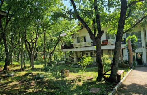 Burgas Cabin | Minior