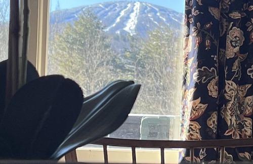 Winhall Ski Chalet | MINUTES TO STRATTON AND BROMLEY!