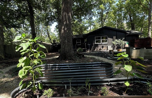 Charlotte House | Minutes Uptown with Sauna, Fireplace, & Brick Oven. 3 bed 3 bath