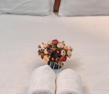 Vung Tau Hotel | Mio Hotel Vũng Tàu
