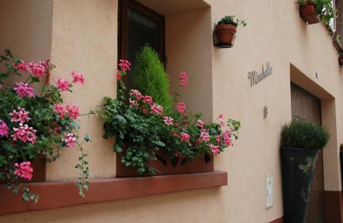 Ribeauville Bed & Breakfast | Mirabelle Bed & Breakfast