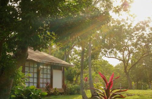 Punta Sur Hotel | Miraflores Boutique Hotel Adults Only