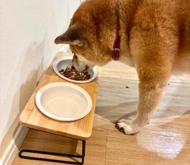 Minakami Villa | MIRISE Sky Villa & Sauna