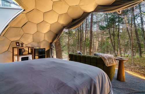 Cosby Cabin | Mirrored Lost Lake Dome In Cosby - Your Ultimate Hideaway!