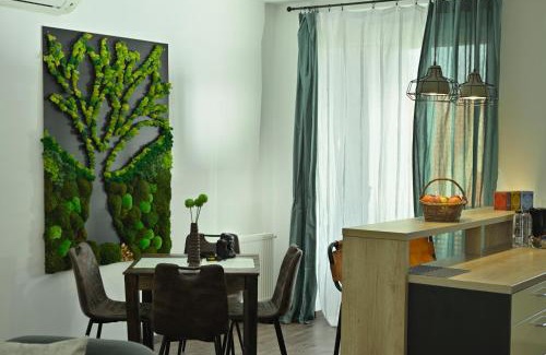 Timisoara Apartment | Mirvana Apartments Metheor Executive Suite