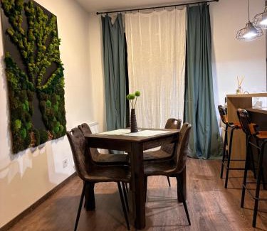 Timisoara Apartment | Mirvana Apartments Metheor Executive Suite