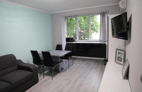Baile Felix Apartment | Misha