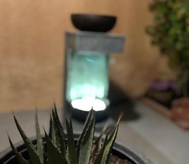 Roswell House | Mishu's Place