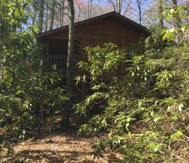 Sherwood Forest House | Misty Creek Log Cabins