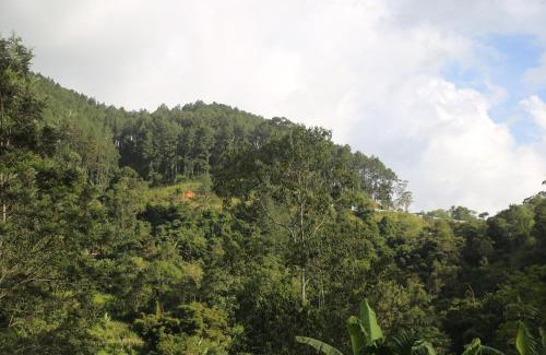 Ella Resort | Misty Mount Resort