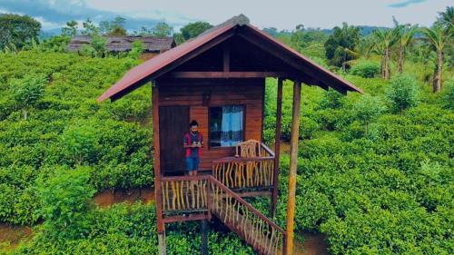 Deniyaya Hotel | Misty Mountain- Sinharaja