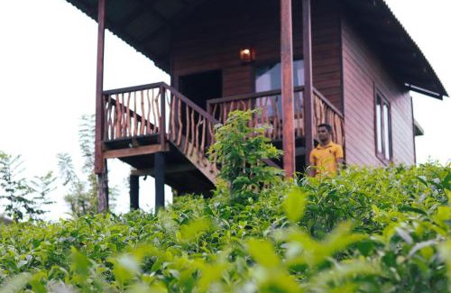 Deniyaya Hotel | Misty Mountain- Sinharaja