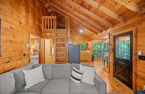 Blue Ridge Cabin | MJ's Beary Cozy Cabin. Hot tub, Fire pit Fireplace