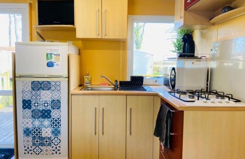 La Boissiere-de-Montaigu Apartment | Mobile home 6 personnes Climatisé proche Puy du fou Clisson 800FA