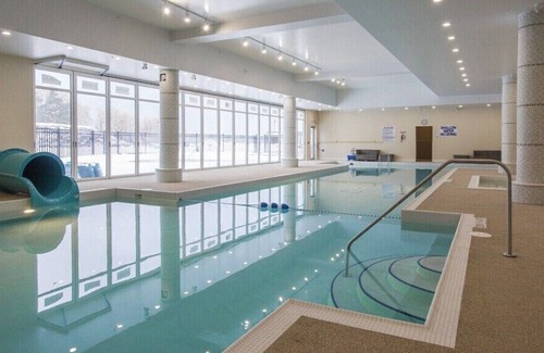 Collingwood Condo | Modern 1-bedroom condo minutes from Blue Mountain