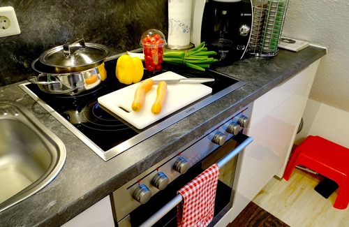Meersburg Apartment | Modern 1-room apartment with balcony and lake and mountain view and Internet/WLAN