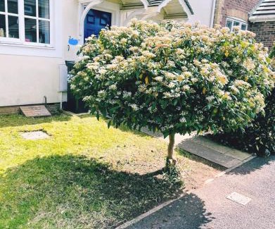 Stoke Gifford Apartment | Modern 2 bed house- Free parking and close to the centre