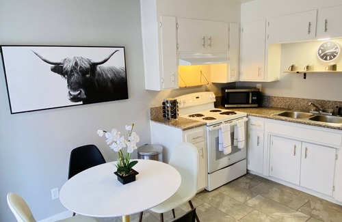 Modesto Condo | Modern and Bright Downtown Retreat.
