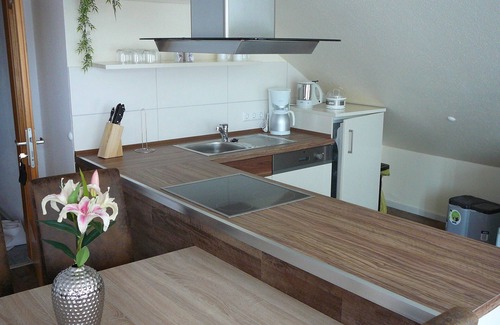 Siekholz Apartment | Modern apartment with air conditioning, porch, garden, sunbathing area, gazebo, pond