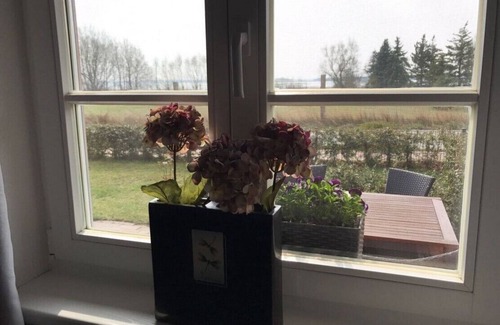 Wieck auf dem Darss Apartment | Modern apartment in a thatched house with a view of the Bodden - Rudi (ground floor)