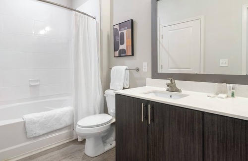 Wake Forest Apartment | Modern Apartment in Prime Location (ID1012X377)