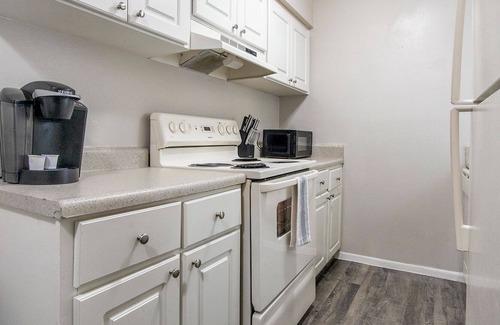 St. Petersburg - Clearwater Apartment | Modern Apartment in Prime Location (ID3735X8)