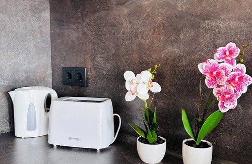 Freital Apartment | Modern apartment ZS15 with WLAN and fully equipped kitchen
