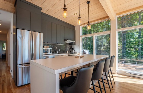 La Conception Cabin | Modern Cabin 10 Min to Tremblant | Forest Views