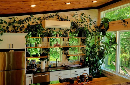 Hayward Cabin | Modern Cabin with Classic Northwoods Experience.Close to Trails