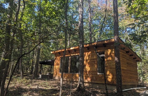 Rising Fawn Cabin | Modern Cloudland Cabin, 1.5 miles of private trails through 10 acres of woodland