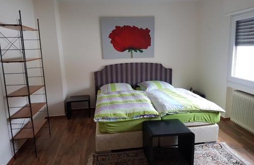 Kreuzau Apartment | modern-comfort-inn 1