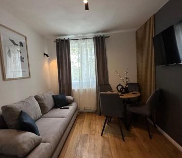 Zalau Apartment | Modern Cozy Apartment Zalau