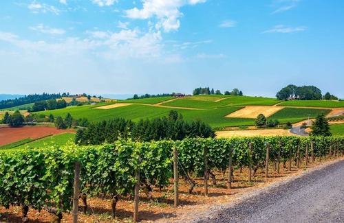 Dundee House | Modern Custom Vineyard Cottage, Epic Views, Huge Decks, BBQ, Ping Pong, EV Charger, Walk to Wineries