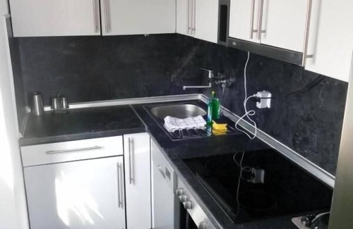 Geyersberg Apartment | Modern Eingerichtetes Ferien-appartement 38qm mit Küche
