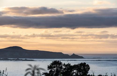 Kaikoura House | Modern Home in Peaceful Surround with Great Views
