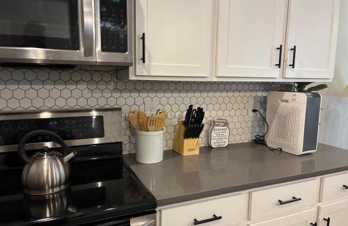 Dunean Apartment | Modern Near Downtown Hospitals Greenville Stay