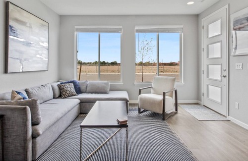 Dupont House | Modern New Home Close to Downtown, Dicks, DIA and Hwys