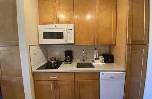Mountain House Condo | Modern studio with balcony & amazing slopes views!