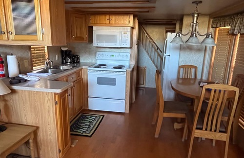 Almont Cabin | Modern "Tiny Home" Style Cabin on Taylor River with Private Fishing Access