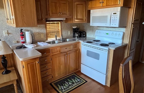 Almont Cabin | Modern "Tiny Home" Style Cabin on Taylor River with Private Fishing Access
