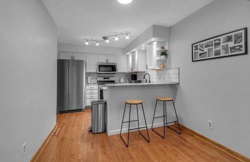 Willert Park House | Modern Trendy Downtown