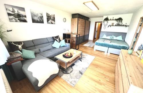 Mittelberg Apartment | Moderne, 1-Zimmer Ferienwohnung mit Bergblick