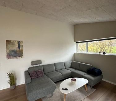 Holstebro Villa | Moderne nybygget
