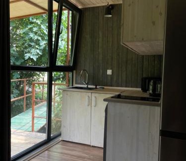 Kobuleti House | Modular House Green Zyland Gamma