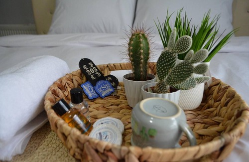 Usak Bed & Breakfast | MOLA INN