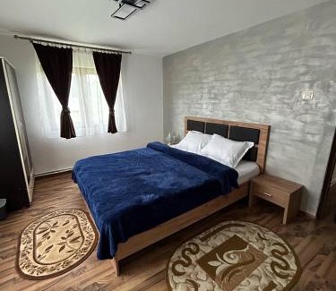Moldovita House | Moldovița Residence